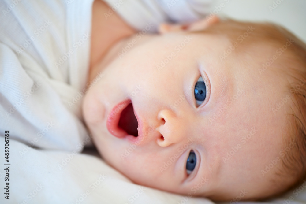 Looking at a world of wonder. Closeup portrait of an adorable newborn lying in a cradle. Looking at a world of wonder. Closeup portrait of an adorable newborn lying in a cradle.
