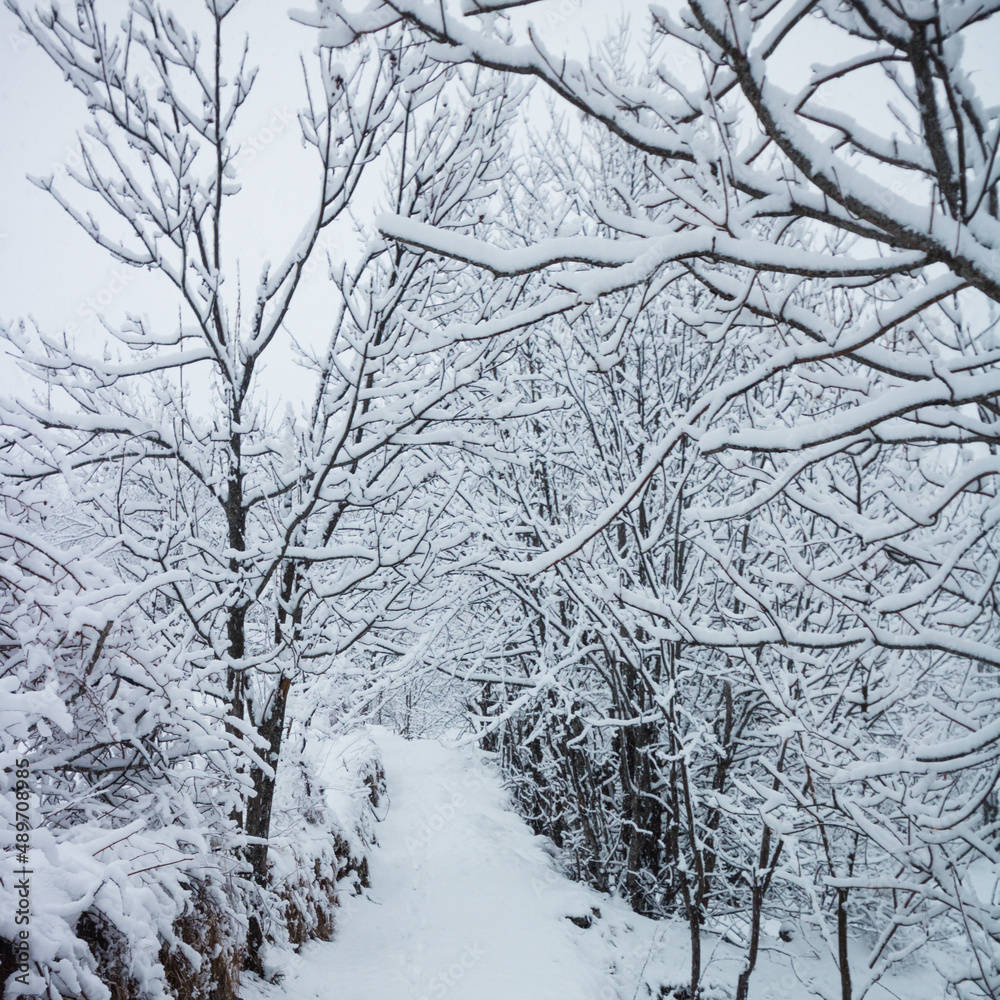 paysage sous la neige en hiver dans les alpes en France dans l'Oisans à Vaujany