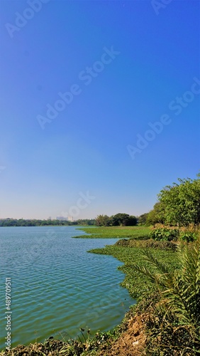 Landscape of Beautiful BTM or Madiwala lake. Mobile wallpaper photo