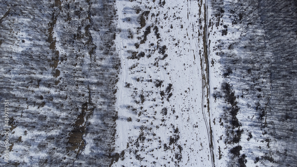 Fototapeta premium Лес в горах вид сверху