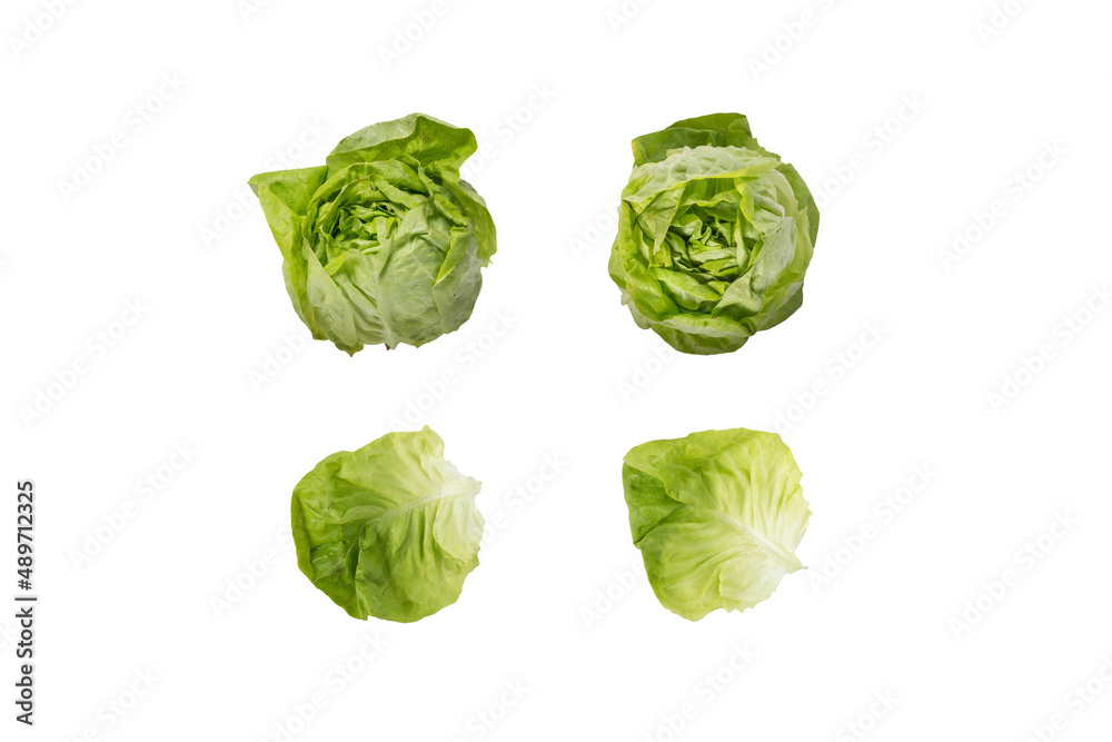 Lettuce heads and leaves isolated