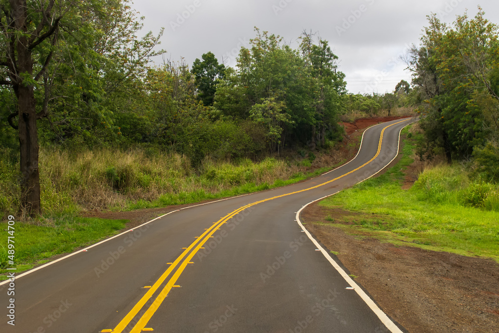 A winding paved road leading deeper into the rainforest on Kauai