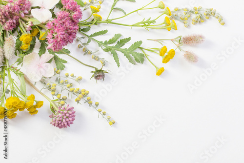 wildflowers on white paper background