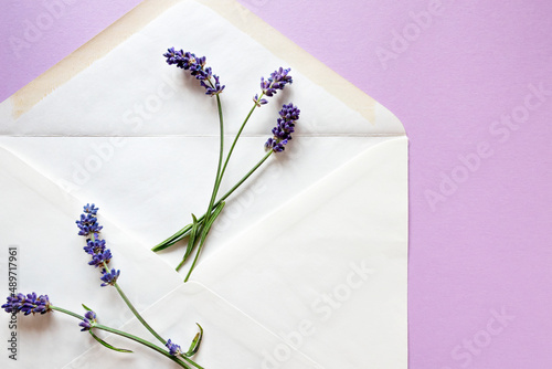Five lavender flowers and a letter envelope on a light lilac background. Flat layout.