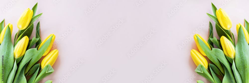 Obraz premium Horizontal web banner with yellow tulips on pink paper with copy space. Background for womens day, 8 March Valentines day, 14 february. Flat lay style, top view, mockup, template, overhead. Greeting