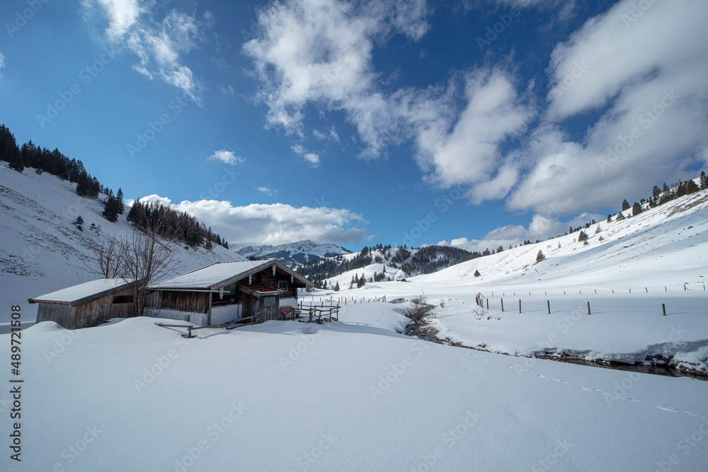 Fototapeta premium Winterlandschaft