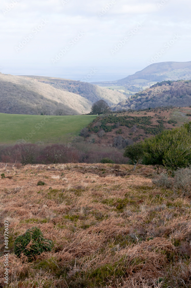 Exmoor Landscape, Somerset, England