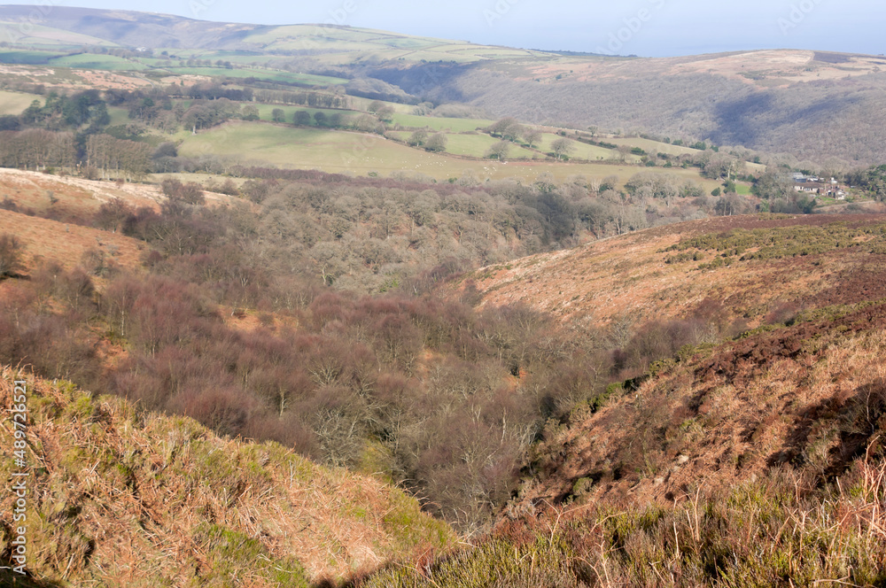 Exmoor Landscape, Somerset, England