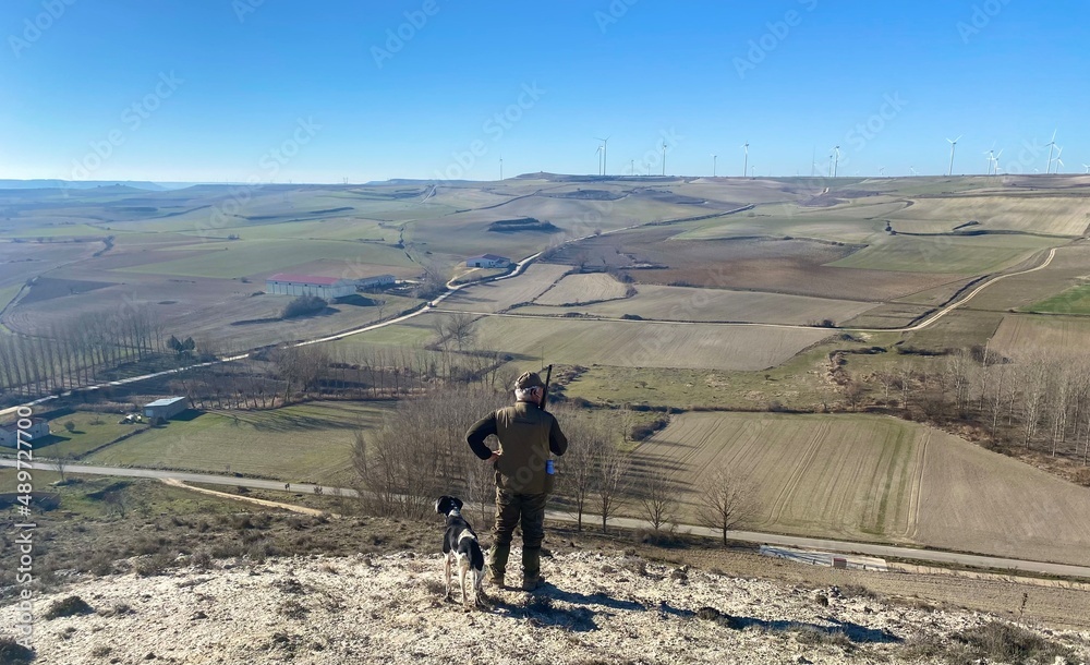 man with a shotgun and a dog hunting in the field man with a shotgun and a dog hunting in the field