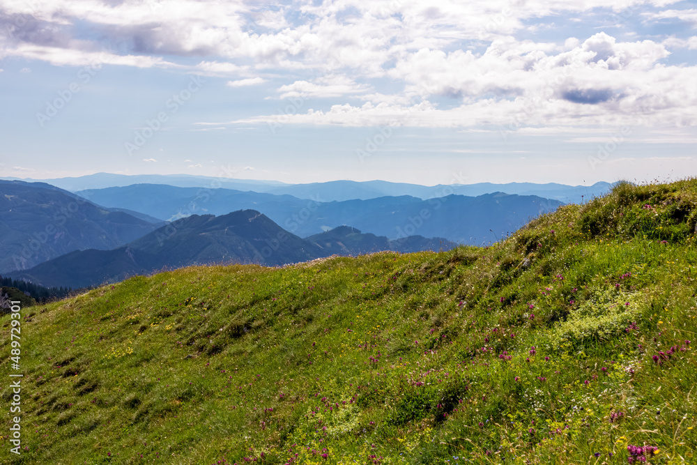 Naklejka premium Green grassland with panoramic view on valley in Hochschwab region in Styria, Austria. Lush green alpine spring meadows with flowers. Hilly landscape on beautiful, clear and sunny day in the Alps.