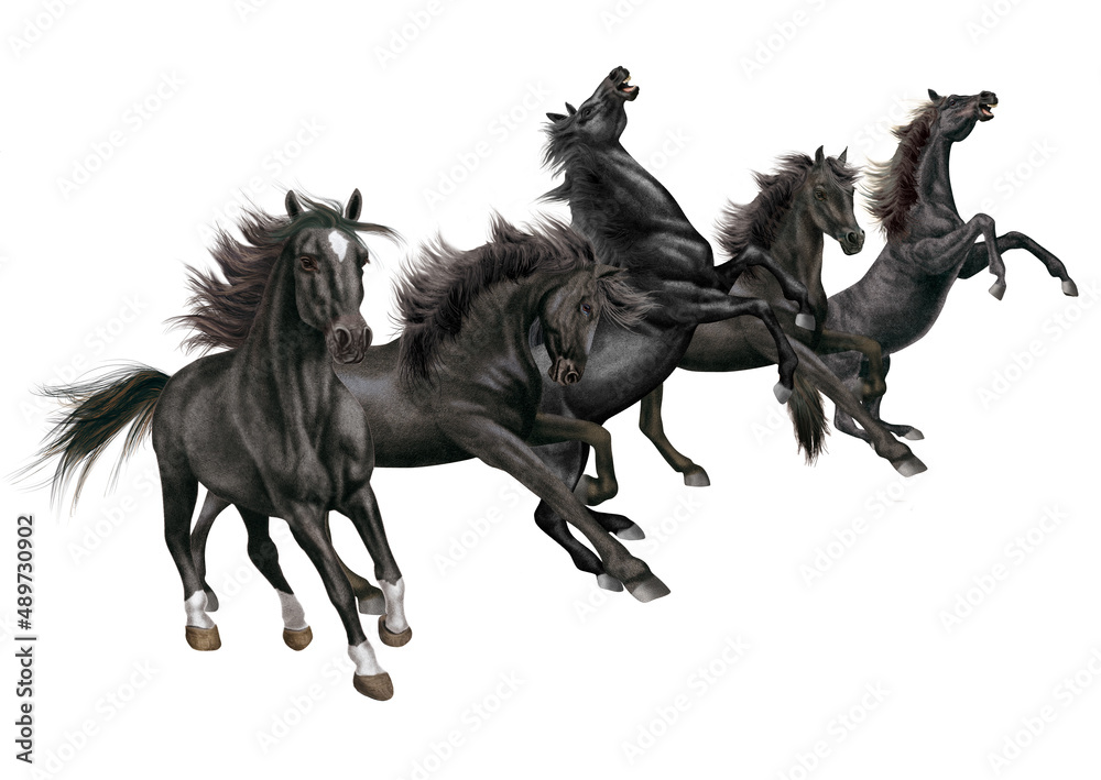 Obraz premium cheval, animal, isolé, illustration, vecteur, noir , mouvement, étalon, blanc, noir, ferme, troupeau, mammifère, course, poney, silhouette, amoureux des chevaux, sauvage, nature, chameau, dessin anim