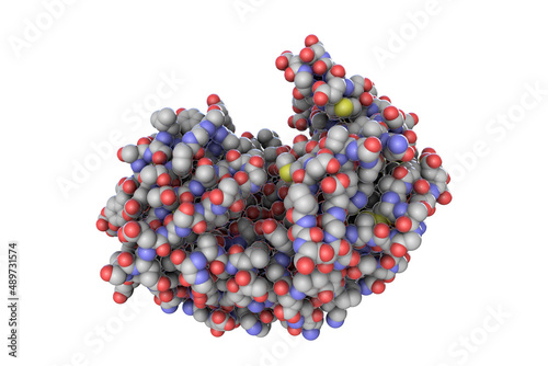 Foto Molecule of pepsin stomach enzyme