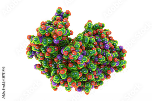 Molecule of pepsin stomach enzyme photo