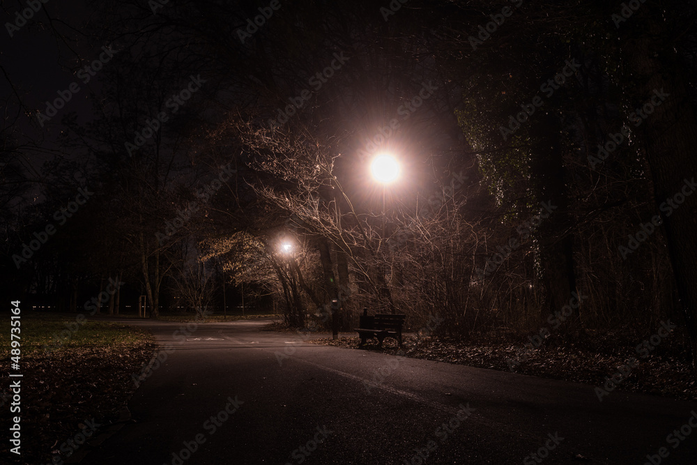 ciemny ponury park w nocy z alejką i latarniami