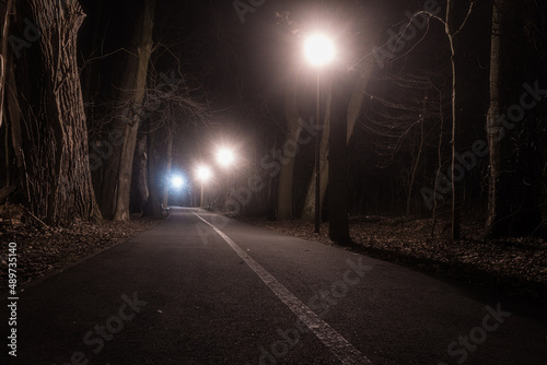 ciemny ponury park w nocy z alejką i latarniami © Henryk Niestrój