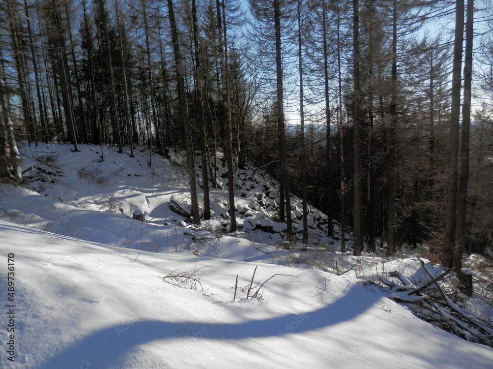 Eine Wanderung von Braunlage zum Wurmberg im Winter