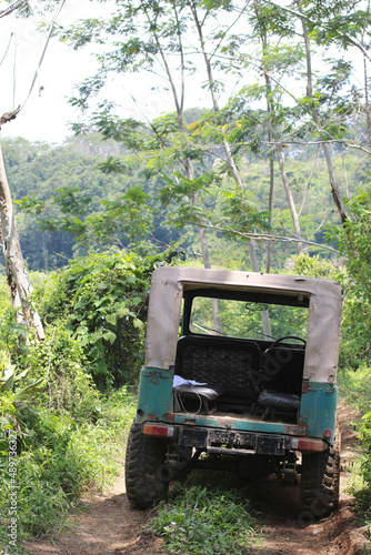 truck in the forest