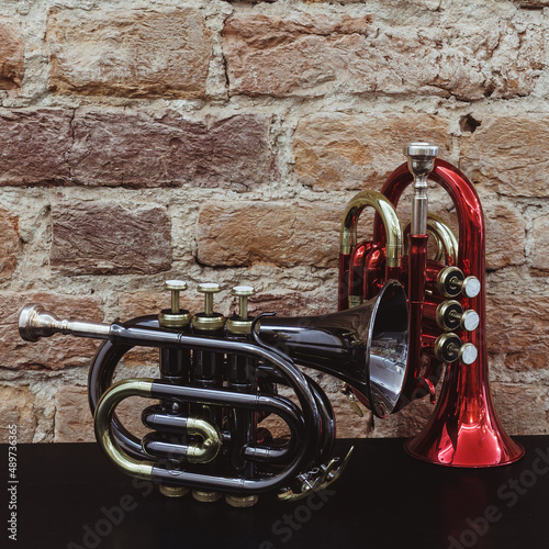 Two small horns, packet trumpets