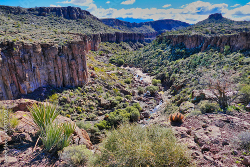 Canyon with river and desert vegetation along the Monolith Garden Trail in the Mojave Desert near Kingman, Arizona, USA
 photo