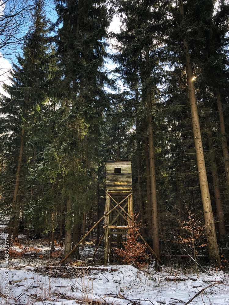 hunter'sz position in the forest during winter hunter'sz position in the forest during winter