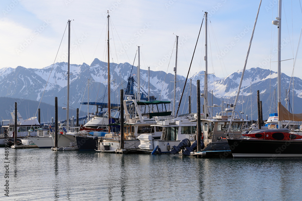 boats in the harbor in Alaska