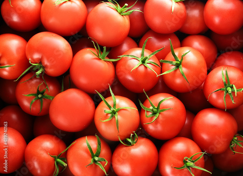 background with juicy and red tomatoes