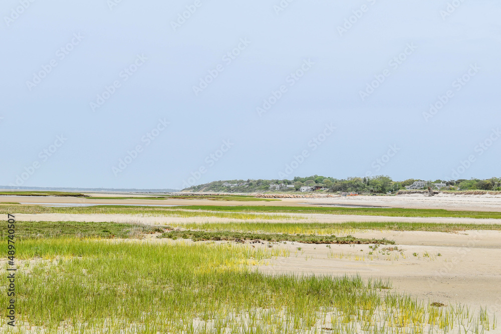 Fototapeta premium Cape Cod Beach