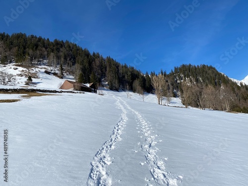 Wonderful winter hiking trails and traces on the slopes of the Alpstein mountain range and in the fresh alpine snow cover of the Swiss Alps - Alt St. Johann, Switzerland (Schweiz)