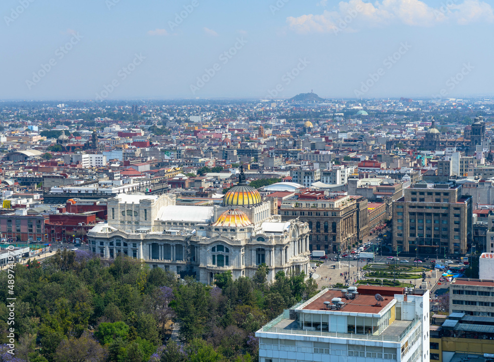 Elevated View of the Central Area of Mexico City looking East over Alameda Park Foliage