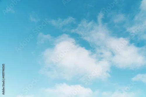 Obraz przyroda i nie tylko