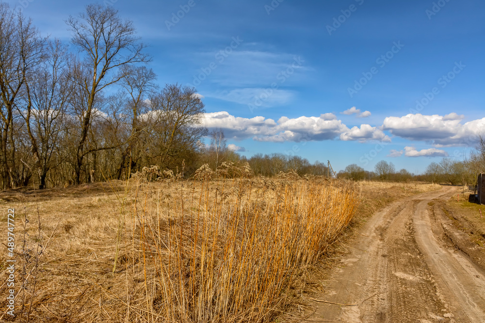 Bright sunny spring day in the countryside. Bright sunny spring day in the countryside.