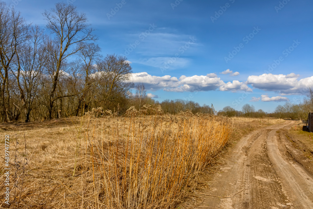 Bright sunny spring day in the countryside.