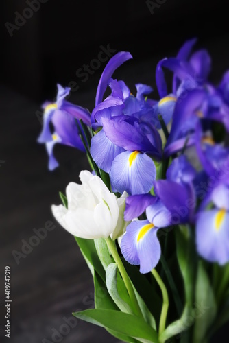 Irises and tulip
