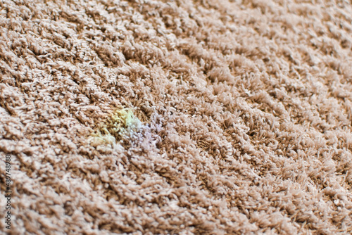dirty stain on floor carpet. removing stains from shaggy wool carpet
