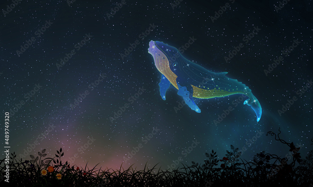 humpback whale vector illustration night sky background flower field 혹등고래 일러스트