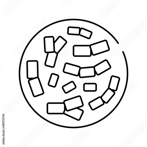 bifidobacterium probiotics line icon vector illustration