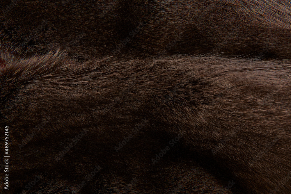 Textur Fell und Pelz. Textur Fell und Pelz.