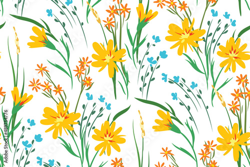 Seamless pattern with a rustic field on a white background. Spring  summer floral print with hand drawn dandelion flowers  various leaves and herbs. Vector botanical illustration.