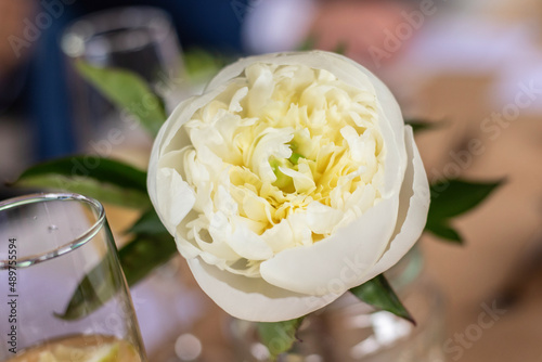 yellow flower detail glass wedding white wine peony