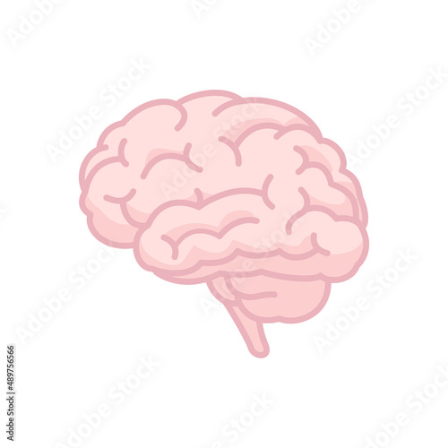 Fotografiet Human brain icon. Mind symbol