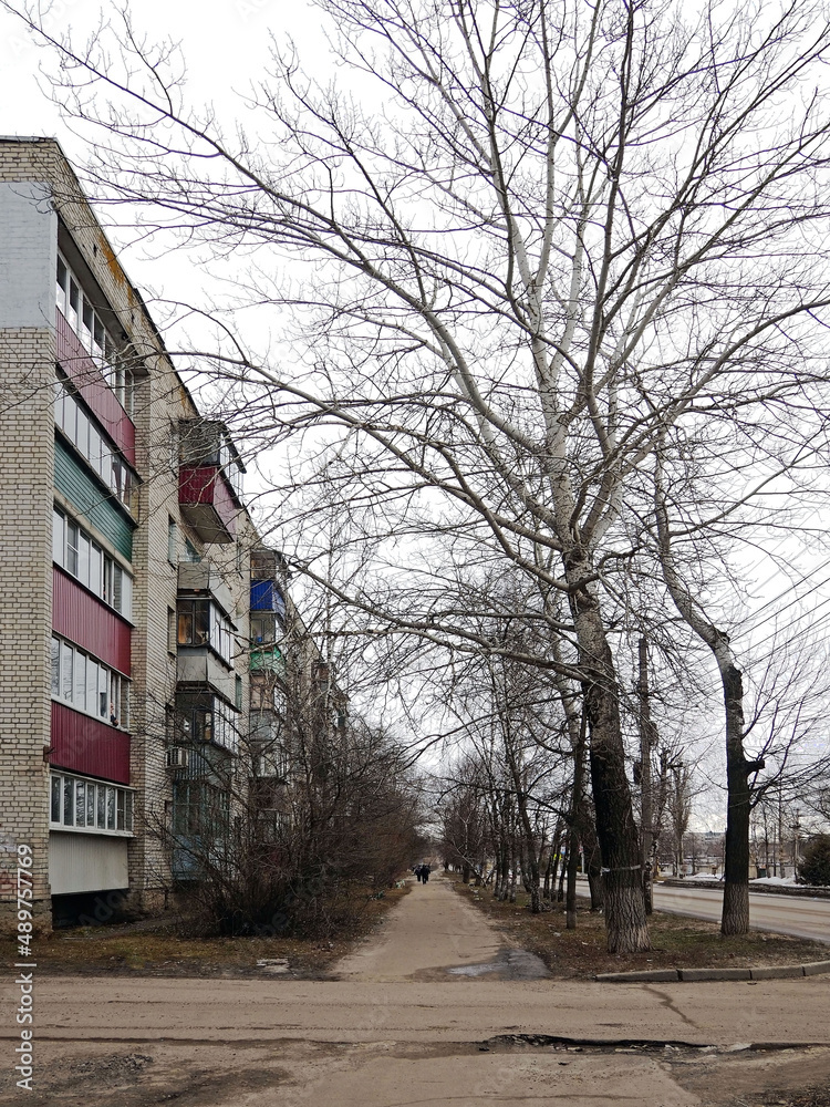 Kursk street. Russia. Photo at an angle. Winter.