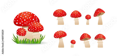 Big set mushrooms toadstool cute. Inedible mushrooms. Vector illustration