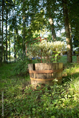 flowers in a wooden basket