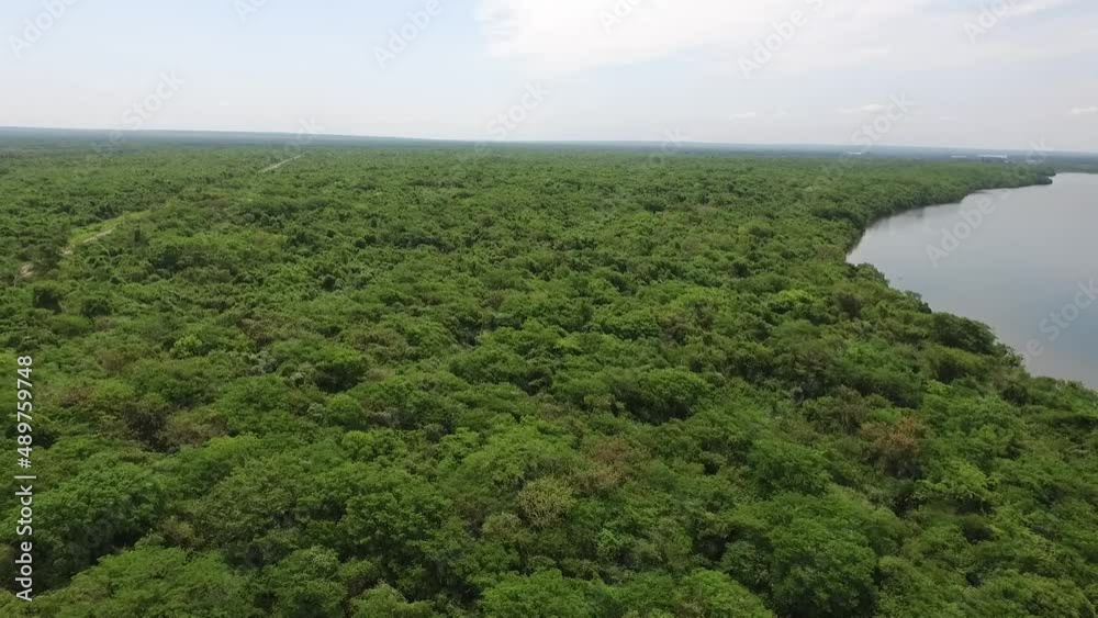 Imagem aérea de drone sobre mata fechada com grande rio de água doce e estrada cortando a paisagem de natureza