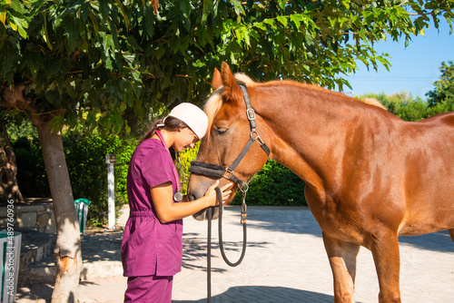 Portrait of young female equestrian veterinarian in emotional momment with brown horse at an animal park.