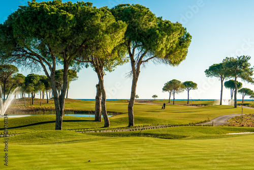 Green golf course and ponds surrounded by pine trees. photo