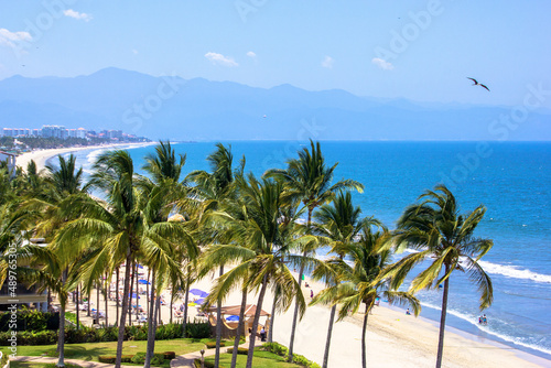 Palm trees on a mexican beach photo
