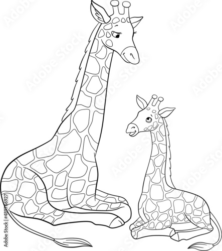 Coloring page. Mother giraffe with long neck lays with her little cute baby and smiles.