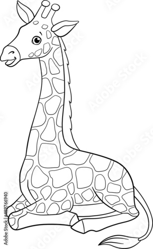 Coloring page. Little cute baby giraffe with long neck lays and smiles.