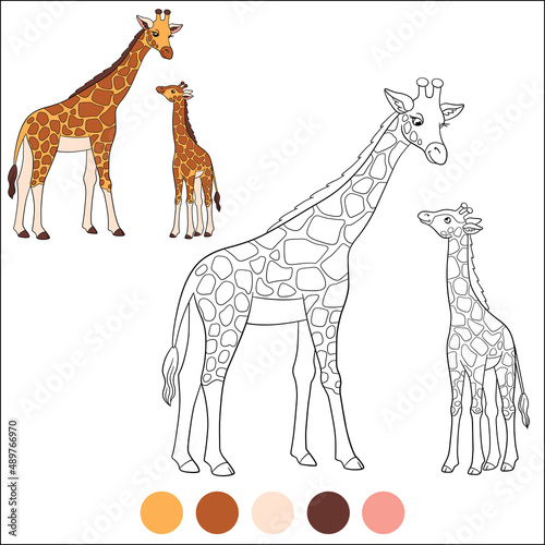 Color me  wild animals. Mother giraffe stands with her little cute baby and smiles.